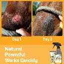 Before_AfterFaceRub-CanadianSilverHoney_square_-01_2048x2048.webp
