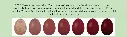 20250113_0221eggcolorchart.webp