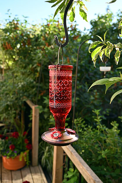 Pinebush Vintage Bottle Style Glass Hummingbird Feeder
