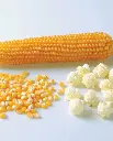 WCS Corn - Caramel Crisp Popcorn